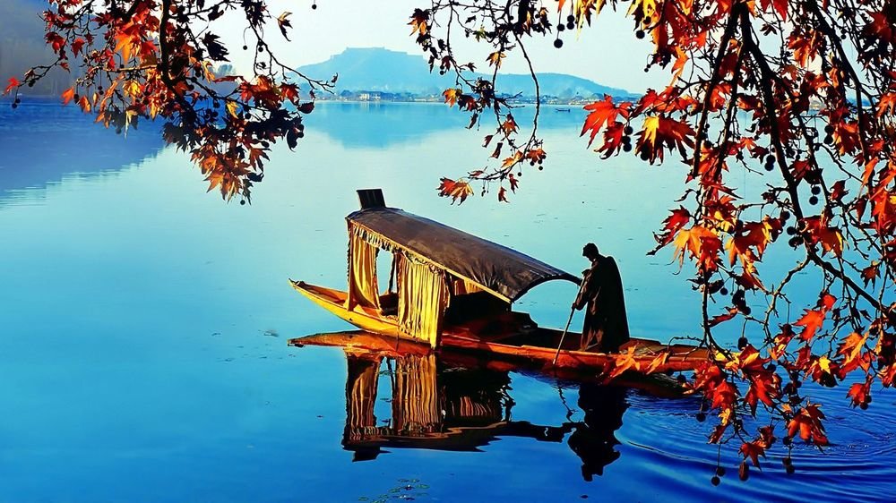 Kashmir